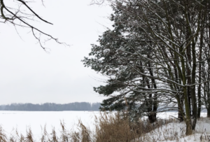 Ekologiczne gospodarstwo rybackie Zawólcze zimą. Widok na zaśnieżony staw rybny i las.